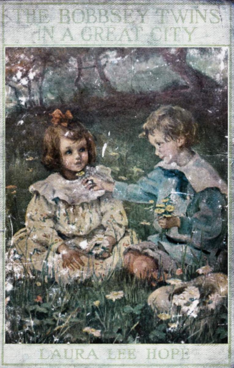 Büyük Şehirde Bobbsey İkizleri