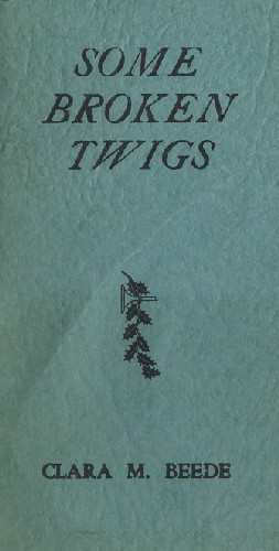 Some Broken Twigs