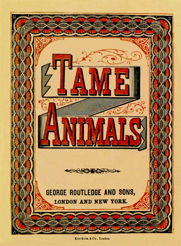 Tame Animals Tame Animals