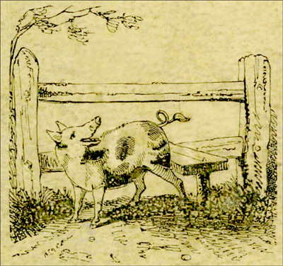 The Remarkable Adventures of an Old Woman and Her Pig An Ancient Tale in a Modern Dress The Remarkable Adventures of an Old Woman and Her Pig An Ancient Tale in a Modern Dress