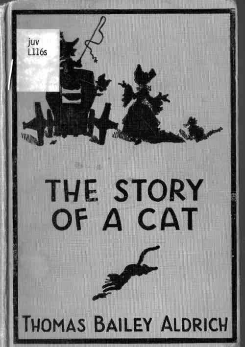 The Story of a Cat The Story of a Cat