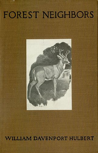 Forest Neighbors: Life Stories of Wild Animals Forest Neighbors: Life Stories of Wild Animals