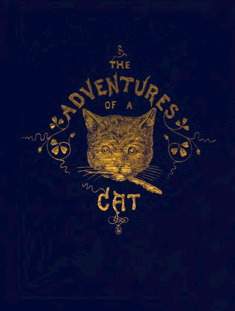 The Adventures of a Cat, and a Fine Cat Too! The Adventures of a Cat, and a Fine Cat Too!