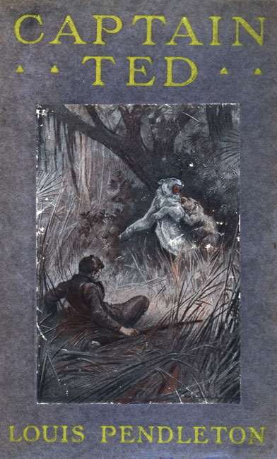 Captain Ted: A Boy's Adventures Among Hiding Slackers in the Great Georgia Swamp Captain Ted: A Boy's Adventures Among Hiding Slackers in the Great Georgia Swamp