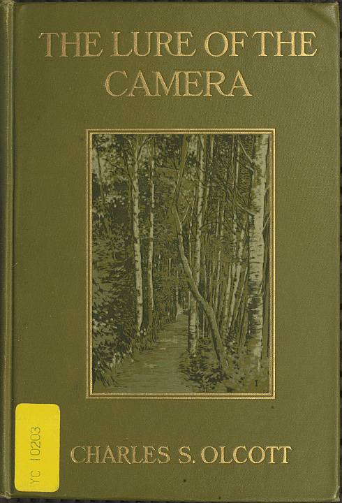 The Lure of the Camera The Lure of the Camera