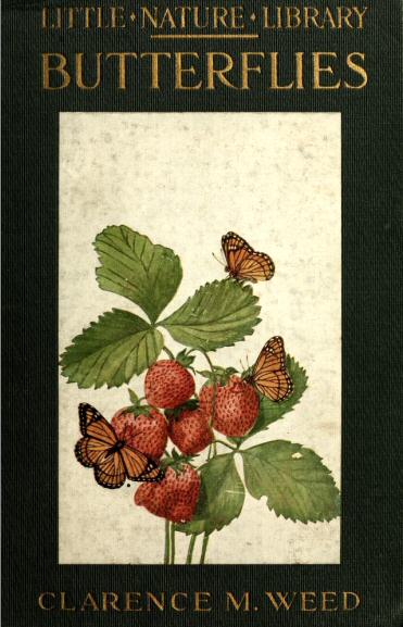 Butterflies Worth Knowing Butterflies Worth Knowing