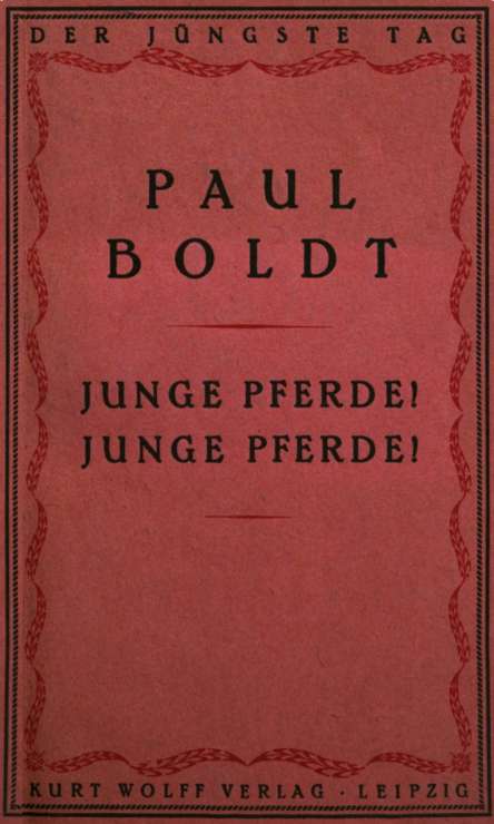 Junge Pferde! Junge Pferde! Junge Pferde! Junge Pferde!