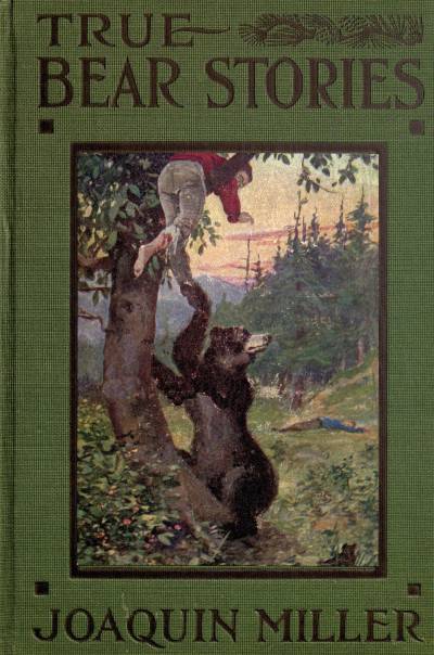 True Bear Stories True Bear Stories