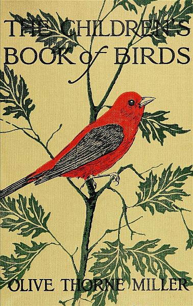 The Children's Book of Birds The Children's Book of Birds