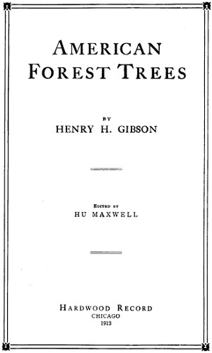 American Forest Trees American Forest Trees