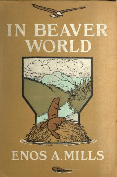In Beaver World In Beaver World