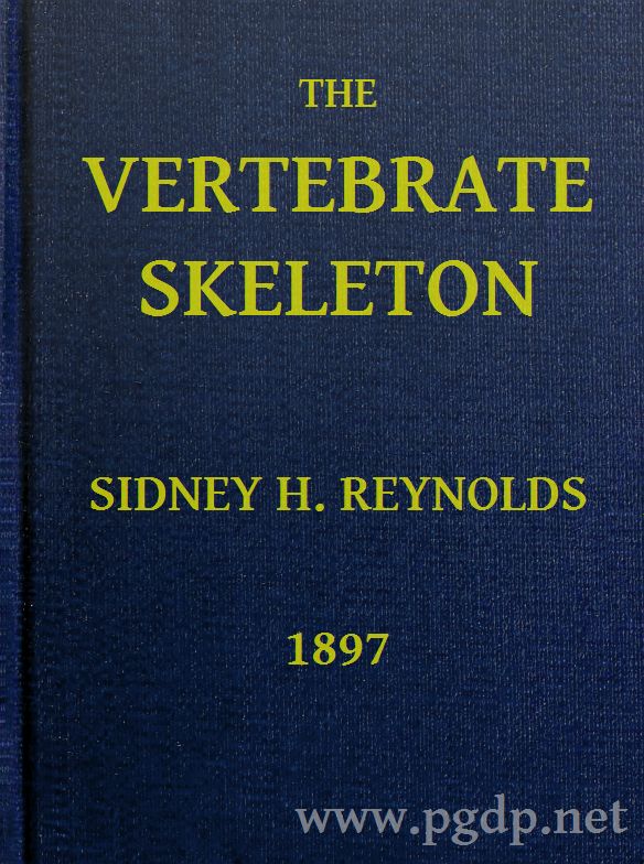 The Vertebrate Skeleton The Vertebrate Skeleton