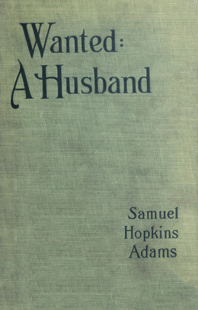 Wanted: A Husband. A Novel Wanted: A Husband. A Novel