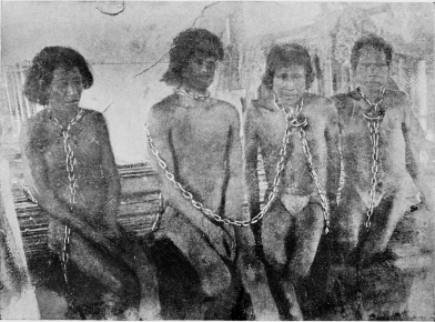CHAINED INDIAN RUBBER GATHERERS IN THE STOCKS: ON THE PUTUMAYO RIVER. [Frontispiece