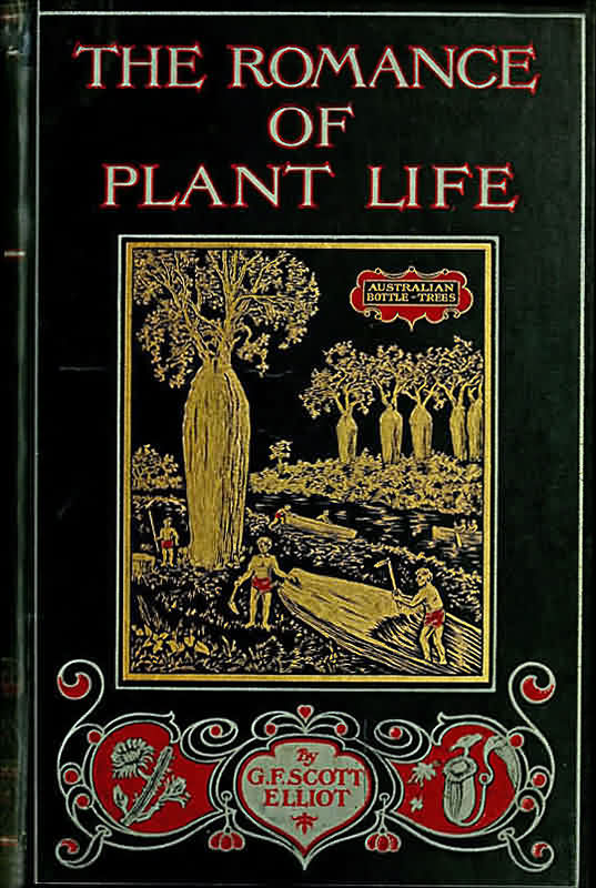 The Romance of Plant Life Interesting Descriptions of the Strange and Curious in the Plant World The Romance of Plant Life Interesting Descriptions of the Strange and Curious in the Plant World