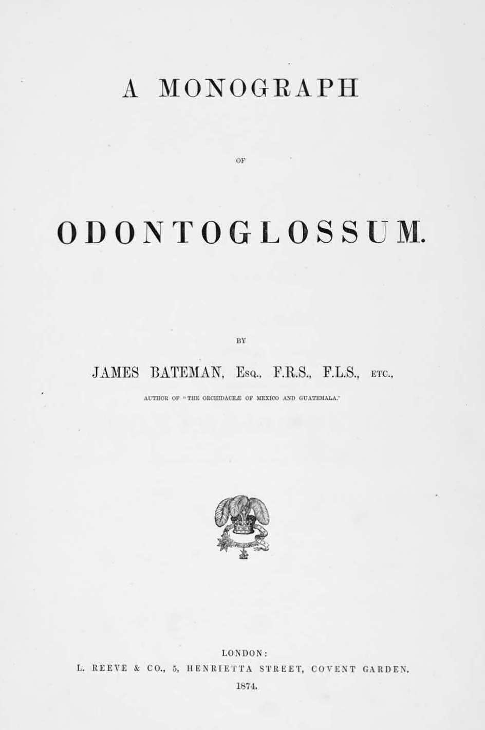 Bir Odontoglossum Monografi Bir Odontoglossum Monografi