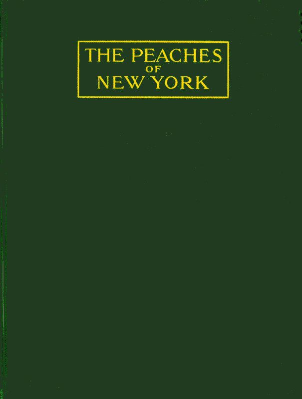 New York'un Şeftalileri New York'un Şeftalileri
