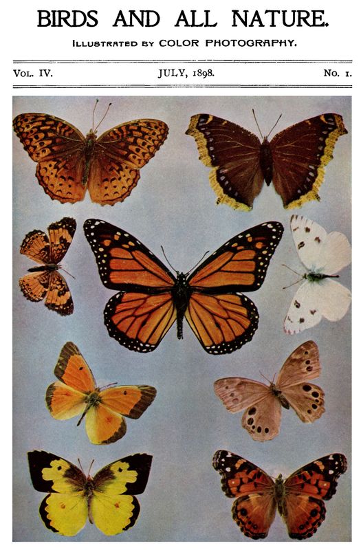 Birds and All Nature, Vol. 4, No. 1, July 1898
Illustrated by Color Photography