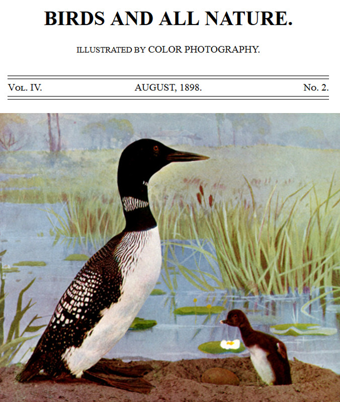Birds and All Nature, Vol. 4, No. 2, August 1898 Illustrated by Color Photography Birds and All Nature, Vol. 4, No. 2, August 1898 Illustrated by Color Photography