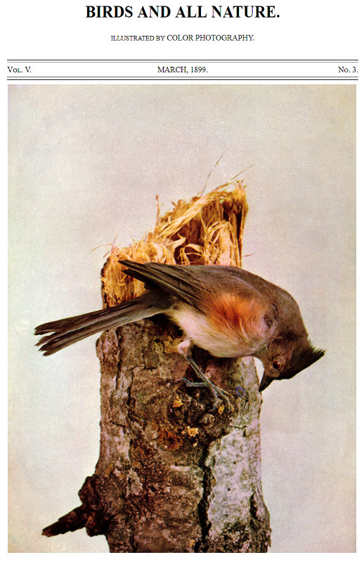 Birds and All Nature, Vol. 5, No. 3, March 1899 Illustrated by Color Photography Birds and All Nature, Vol. 5, No. 3, March 1899 Illustrated by Color Photography