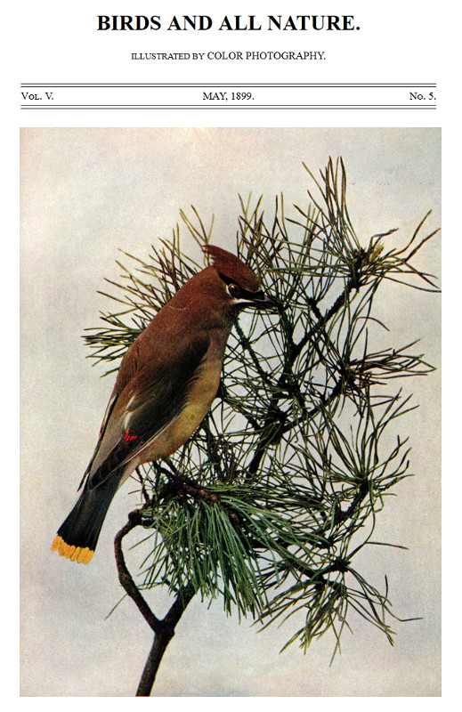 Birds and All Nature, Vol. 5, No. 5, May 1899 Illustrated by Color Photography Birds and All Nature, Vol. 5, No. 5, May 1899 Illustrated by Color Photography
