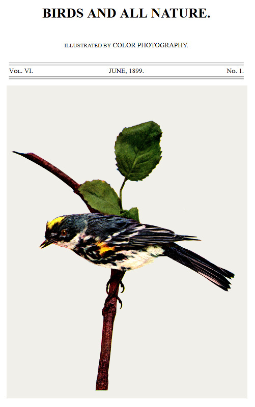 Birds and All Nature, Vol. 6, No. 1, June 1899
Illustrated by Color Photography