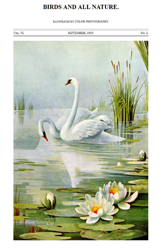Birds and All Nature, Vol. 6, No. 2, September 1899
Illustrated by Color Photography