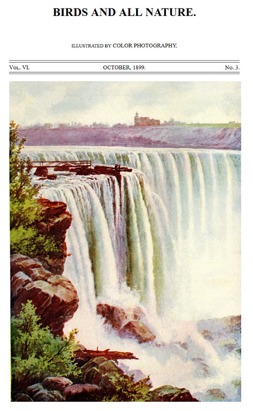 Birds and All Nature, Vol. 6, No. 3, October 1899
Illustrated by Color Photography