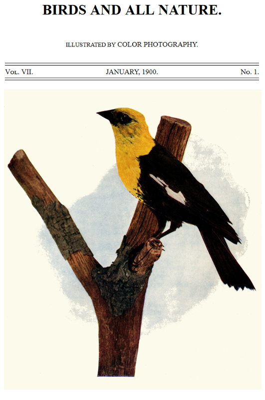 Birds and All Nature, Vol. 7, No. 1, January 1900 Illustrated by Color Photography Birds and All Nature, Vol. 7, No. 1, January 1900 Illustrated by Color Photography