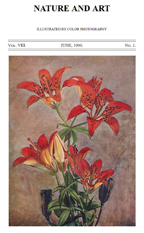 Birds and Nature, Vol. 08, No. 1, June 1900
In Natural Colors