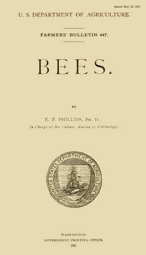 Bees Bees