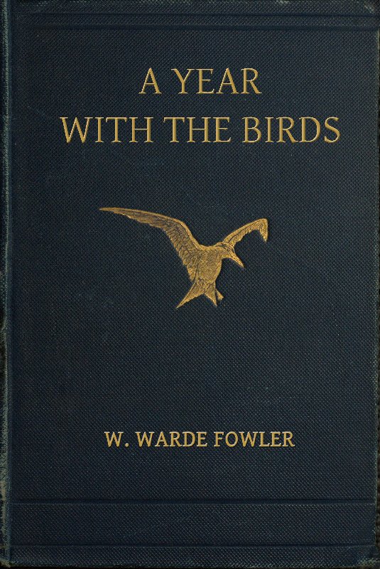 A Year with the Birds Third Edition, Enlarged A Year with the Birds Third Edition, Enlarged