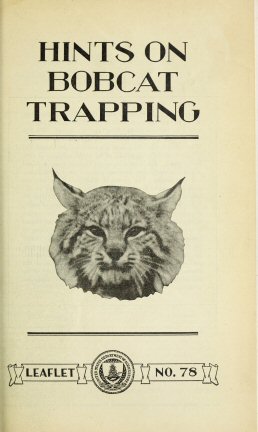 Hints on Bobcat Trapping Hints on Bobcat Trapping