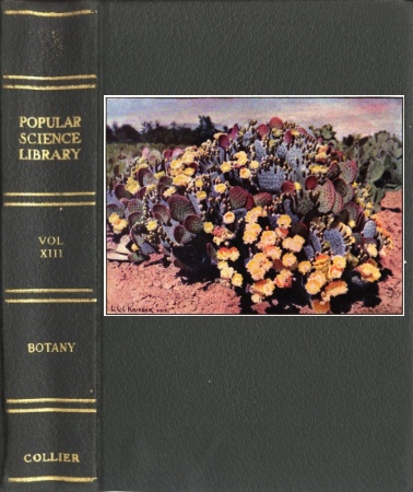 Botany: The Science of Plant Life Botany: The Science of Plant Life