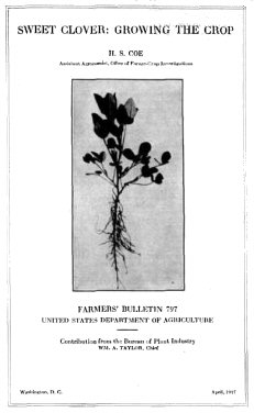 Sweet Clover: Growing the Crop Sweet Clover: Growing the Crop