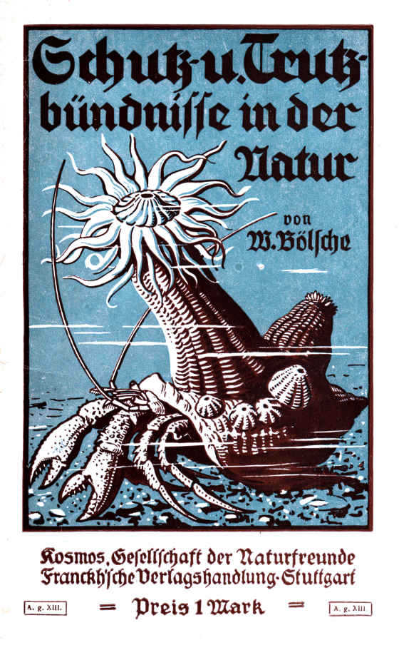 Schutz- und Trutzbündnisse in der Natur Schutz- und Trutzbündnisse in der Natur
