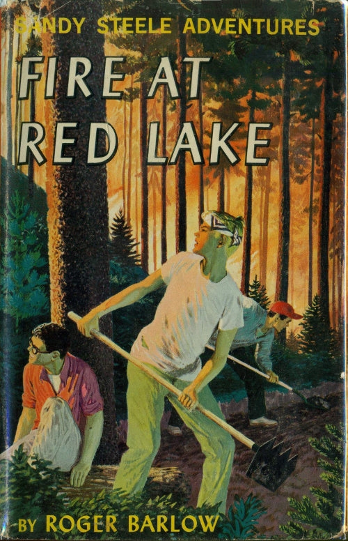 Fire at Red Lake Sandy Steele Adventures #4 Fire at Red Lake Sandy Steele Adventures #4