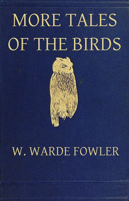 More Tales of the Birds More Tales of the Birds