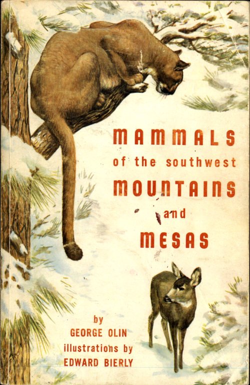 Mammals of the Southwest Mountains and Mesas Mammals of the Southwest Mountains and Mesas