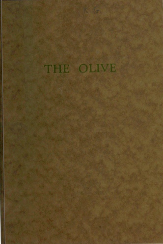 The Olive The Olive
