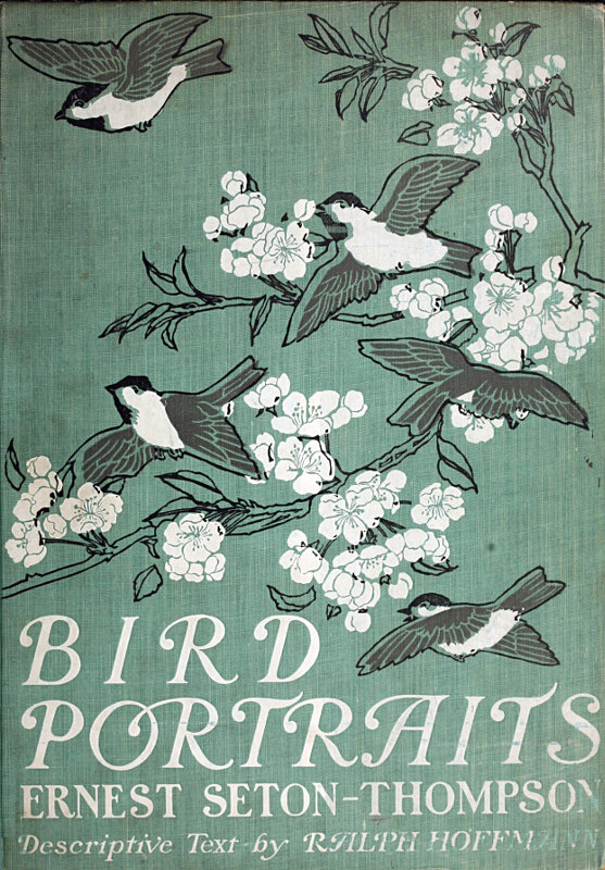 Bird Portraits Bird Portraits