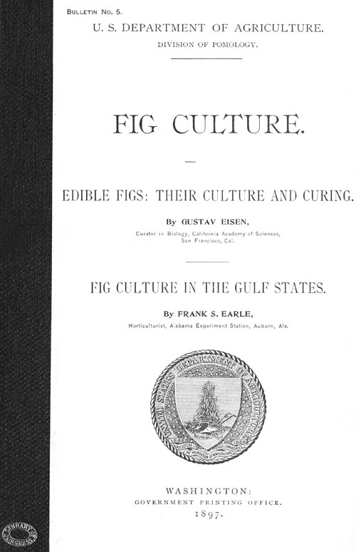 Fig Culture Edible Figs: Their Culture and Curing. Fig Culture in the Gulf States. Fig Culture Edible Figs: Their Culture and Curing. Fig Culture in the Gulf States.