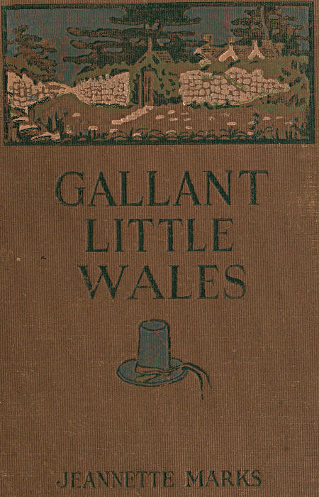 Gallant Little Wales: Sketches of its people, places and customs