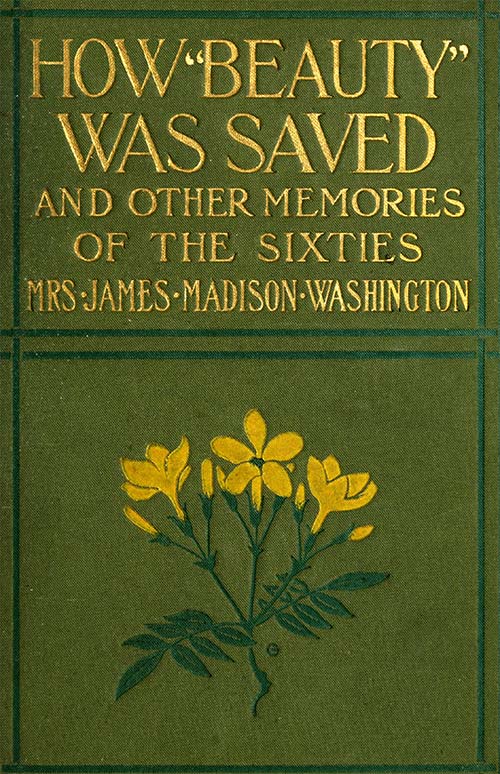 How Beauty Was Saved, and Other Memories of the Sixties