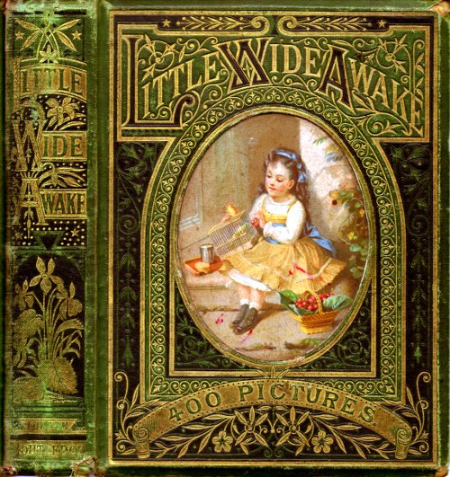 Little Wideawake: A story book for little children Little Wideawake: A story book for little children