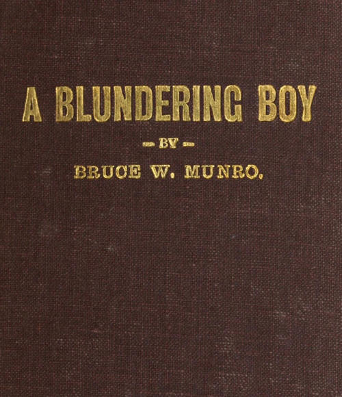 A Blundering Boy: A Humorous Story A Blundering Boy: A Humorous Story