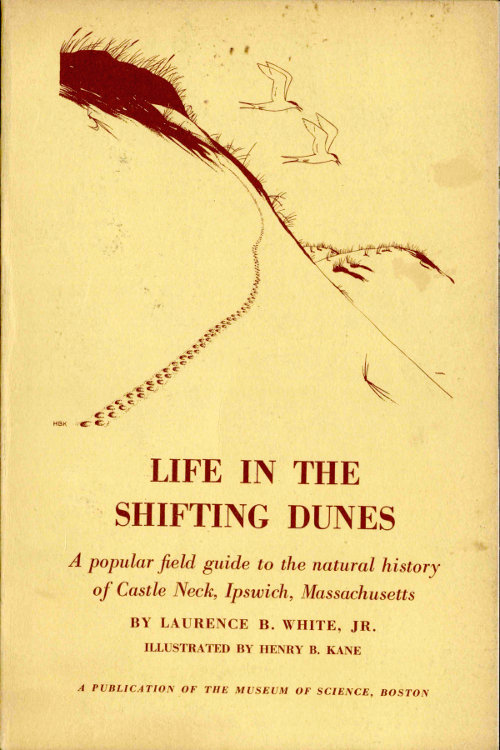Life in the Shifting Dunes A popular field guide to the natural history of Castle Neck, Ipswich, Massachusetts Life in the Shifting Dunes A popular field guide to the natural history of Castle Neck, Ipswich, Massachusetts