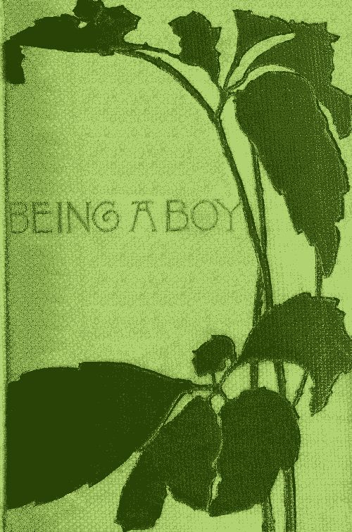 Being a Boy Being a Boy