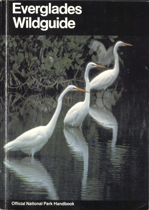 Everglades Wildguide Handbook 143 Everglades Wildguide Handbook 143