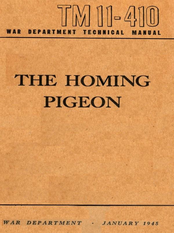 The Homing Pigeon The Homing Pigeon